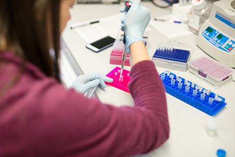 A researcher in a lab