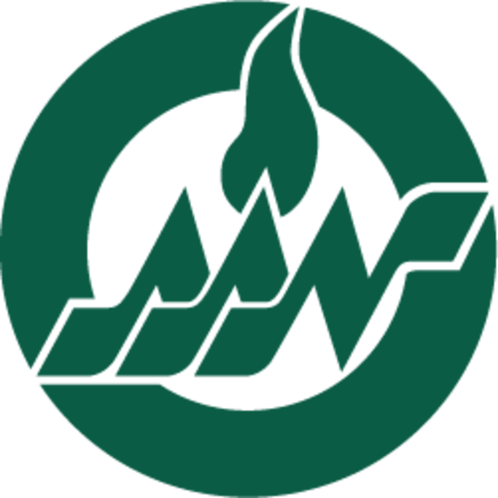American Academy of Nursing logo