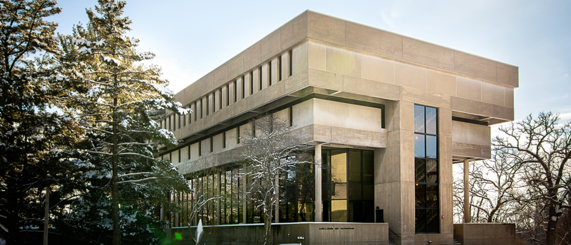 Bachelor of Science in Nursing (BSN) College of Nursing The