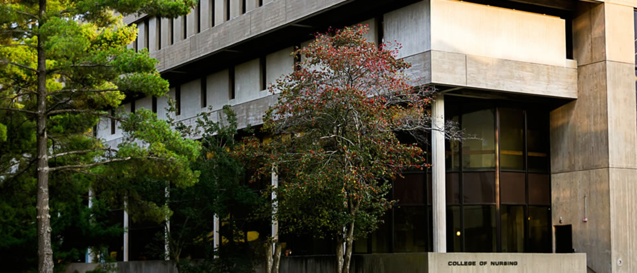 About Us | College of Nursing - The University of Iowa