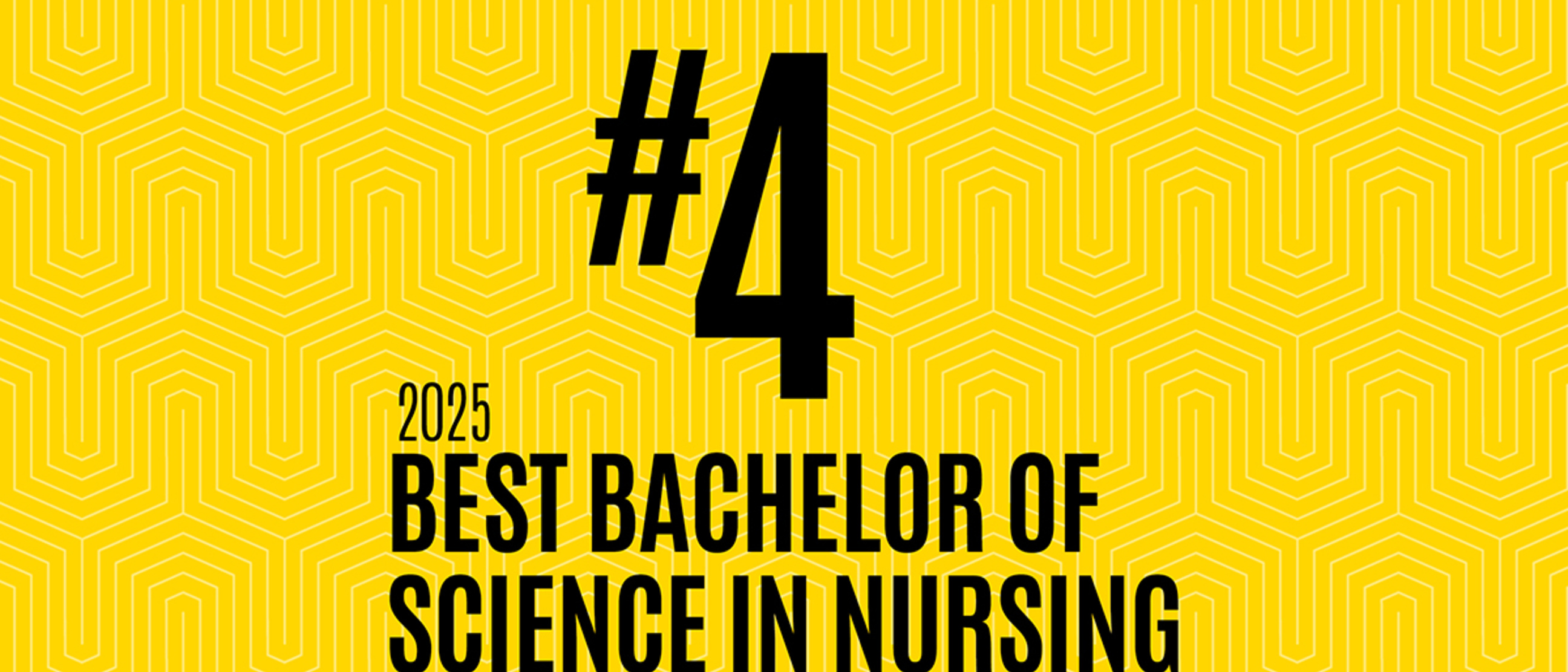 College of Nursing The University of Iowa