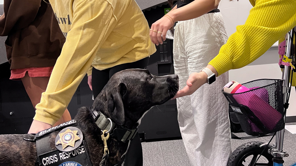 A smiling woman in yellow extends her hand to a dog while another person pets it. 